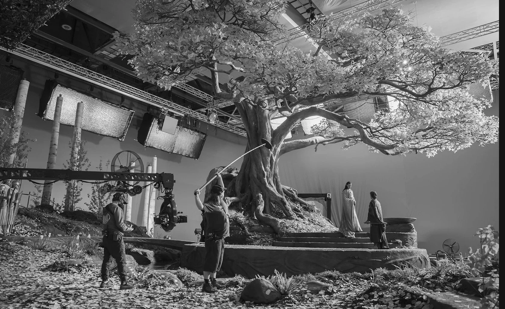 Large engineered tree structure on a film sound stage